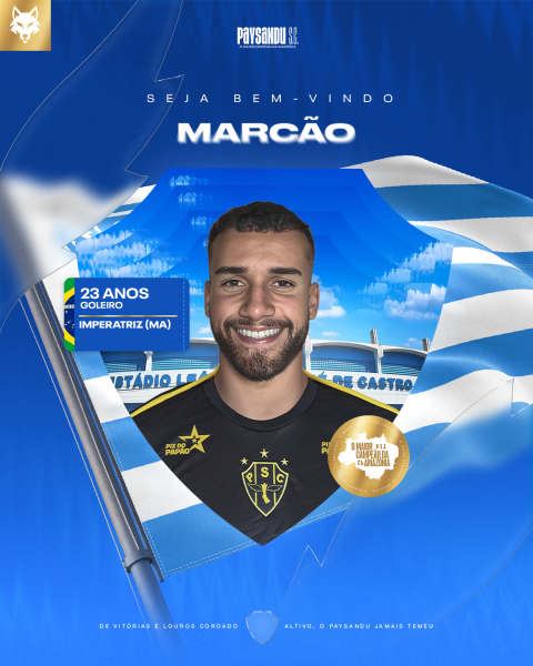 Paysandu fecha com goleiro destaque do Campeonato Paraense